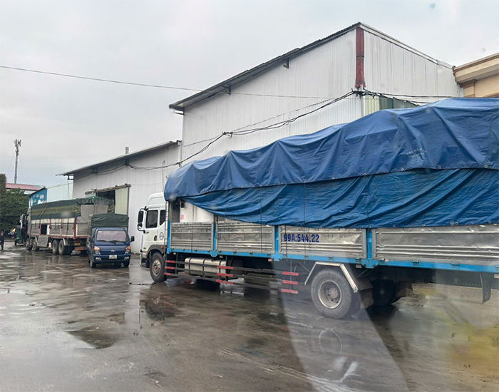 CÔNG TY TNHH ĐẦU TƯ PHÁT TRIỂN THƯƠNG MẠI VÀ DỊCH VỤ ĐẠT LINH HƯƠNG